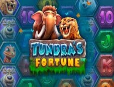 Tundra